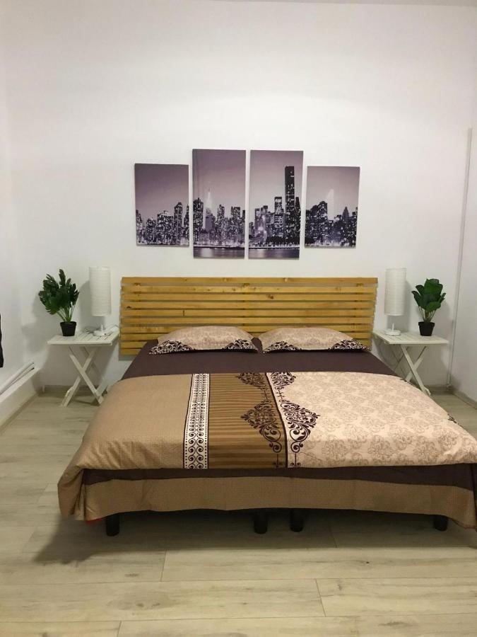 Large Apartment City Centre บูคาเรสต์ ภายนอก รูปภาพ